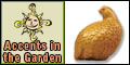 Accents in the Garden Coupons
