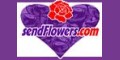 Send Flowers Coupons