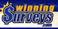 winningsurveys.com