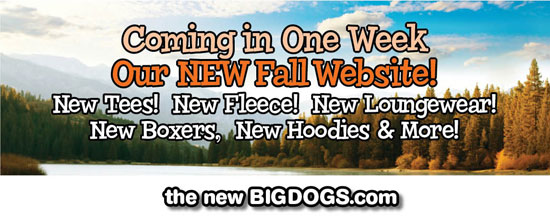 25% off Big Dogs Men's Sale Apparel