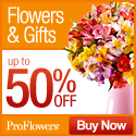 Save up to 50% on Fresh Flowers & Gifts