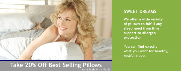 20% Off Best Selling Pillows