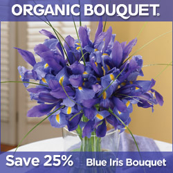 25% Off Blue Iris