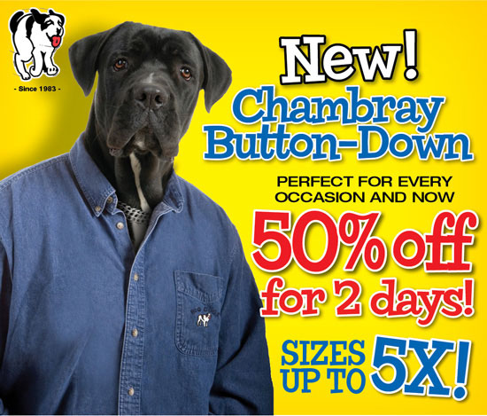 50% OFF Big Dogs Chambray Button Down Shirt
