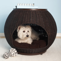 Save 20% on all Dog Beds