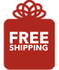 Free Shipping on Everything