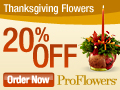 Save 20% on Thanksgiving flowers, plants, centerpeices and gifts