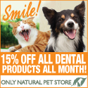 15% off all dental products