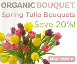 Save 20% on assorted tulip bouquets