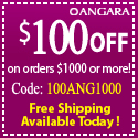 $100 off Order of $1000 or more