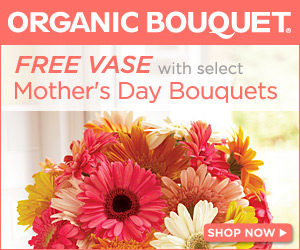 FREE Vase with any purchase