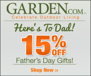 15% off Father's Day Gifts