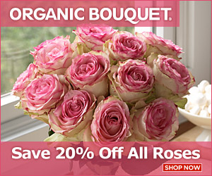 Save 20% on eco-elegant roses